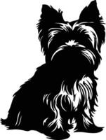 Yorkshire terrier negro silueta vector