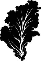 Chinese cabbage  black silhouette vector