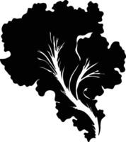 Chinese cabbage  black silhouette vector