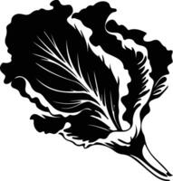 Chinese cabbage  black silhouette vector