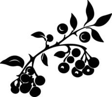 blueberry  black silhouette vector