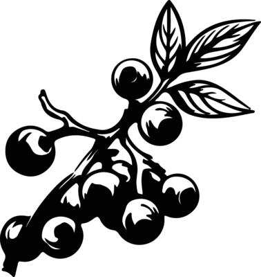 blueberry  black silhouette