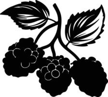 boysenberry  black silhouette vector