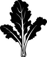 Swiss chard  black silhouette vector