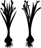 scallion  black silhouette vector