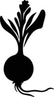 turnip  black silhouette vector