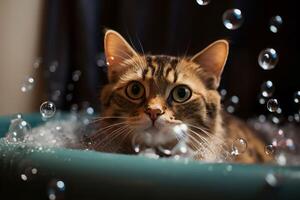 AI generated Cat in basin with soap bubbles. Generate ai photo