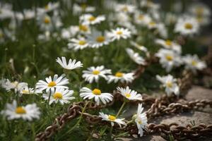 ai generado margarita flores con jardín cadenas generar ai foto