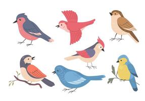 Set of different birds on white background. Cartoon vector illustration.  Cute wild or garden spring birdie. Sparrow, woodpecker, tomtit