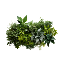 AI generated Bushes Consisting of plants and wild leaves png