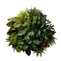 AI generated Bushes Consisting of plants and wild leaves png