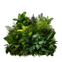 AI generated Bushes Consisting of plants and wild leaves png
