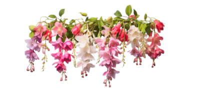 AI generated bunch of hung flowers transparent background png