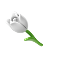 3d blanc tulipe fleur printemps illustration png