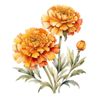 ai generiert Aquarell Blumen- Blume Design, Aquarell Blume Vereinbarungen Blumen, Aquarell Blume Design, Blume Sublimation Blumen- Clip Art, Clip Art, Hochzeit Dekoration png