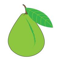 guava icon vector design template