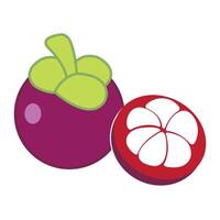 plantilla de diseño de vector de logotipo de icono de mangostán