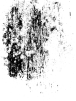 rustik grunge textur med spannmål och fläckar. abstrakt ljud bakgrund. png grafisk illustration med transparent bakgrund.