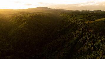 alto ángulo ver aéreo fotografía de bosque en crepúsculo hora foto