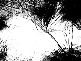 Rustic grunge texture with grain and stains. Abstract noise background. PNG graphic illustration with transparent background.