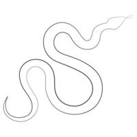 Continuous one line art drawing of venomous snake outline art vector illustration