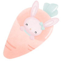 Bunny sleep in carrot bed png