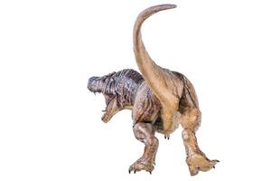 Trex Tyrannosaurus dinosaur on isolated background photo