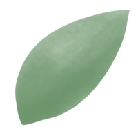 Green nature leaf png