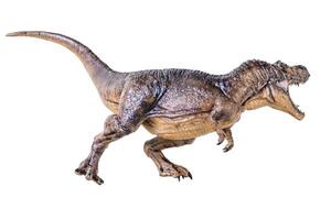 Trex Tyrannosaurus dinosaur on isolated background photo