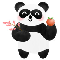 Chinese new year panda holding orange and plum blossom brunch png
