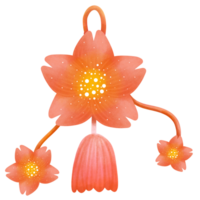 Chinesisch Blume Fetisch png