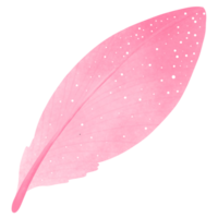 doux rose plume png