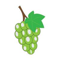 grapes icon vector design template