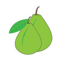 guava icon vector design template