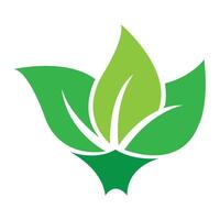 plantilla de diseño de vector de logotipo de icono de hoja