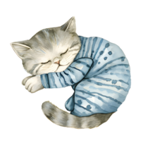 ai generiert ein charmant Aquarell Illustration mit ein gemütlich Katze geschmückt im Pyjama, friedlich zusammengerollt oben zum ein Nickerchen, Erstellen ein herzerwärmend und gemütlich Szene. png