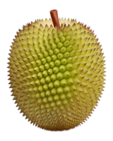 3D Illustration durian png