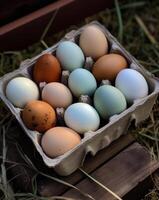 ai generado el pasto es lleno de muchos pollos sentado en huevos. un caja de cartón de huevos sentado en el césped foto