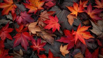 ai generado vibrante rojo arce hojas manta el bosque suelo en otoño, ai generado foto