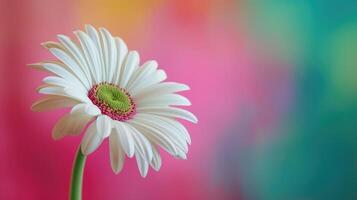 ai generado vibrante soltero flor arriba cerca en contra un fondo de vívido colores, de la naturaleza paleta, ai generado foto