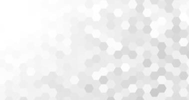 abstract modern white and grey elegant hexagons background vector