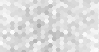 abstract modern white and grey elegant hexagons background vector