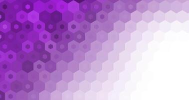 abstract modern elegant purple background vector