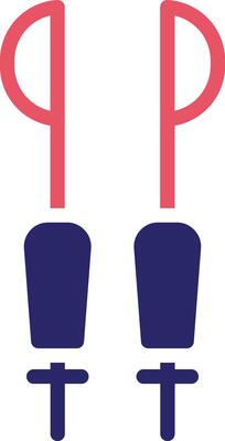 Ski Sticks Vector Icon