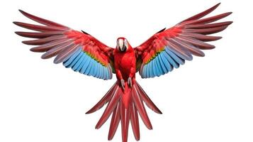 AI generated a red parrot flying in front of a white background, Ai Generated photo