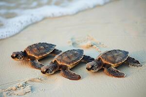ai generado Tres adorable bebé tortugas haciendo su camino a través de el arenoso costa, ai generado. foto