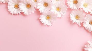 AI generated Minimalist design approach. Delicate white daisy chamomile blossoms on a soft pink backdrop. Ideal for creative summer and spring concepts, Ai Generated. photo