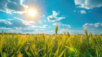 AI generated Summer spring fields stretch under a vast blue sky, offering peace, Ai Generated. photo