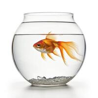 AI generated An image of a fish, vividly standing out against a white backdrop, Ai Generated photo