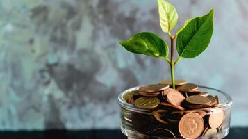 ai generado pequeño planta en un florero en un apilar de monedas, simbolizando crecimiento, ai generado foto